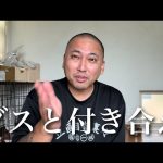Thumbnail of new posts 173