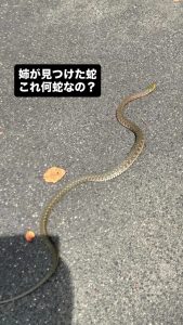Thumbnail of post image 154