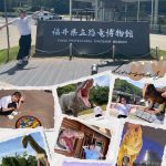Thumbnail of new posts 194