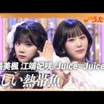 Thumbnail of new posts 059