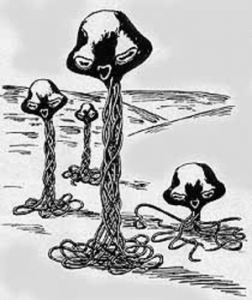 Thumbnail of post image 085