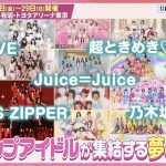 Thumbnail of new posts 016