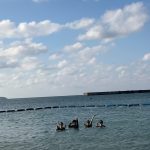 Thumbnail of new posts 033
