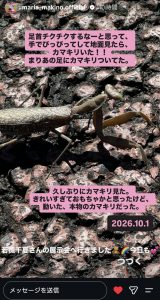 Thumbnail of post image 200
