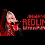 Thumbnail of new posts 188